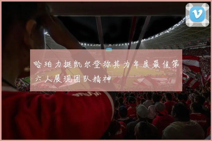 哈珀力挺凯尔登称其为年度最佳第六人展现团队精神
