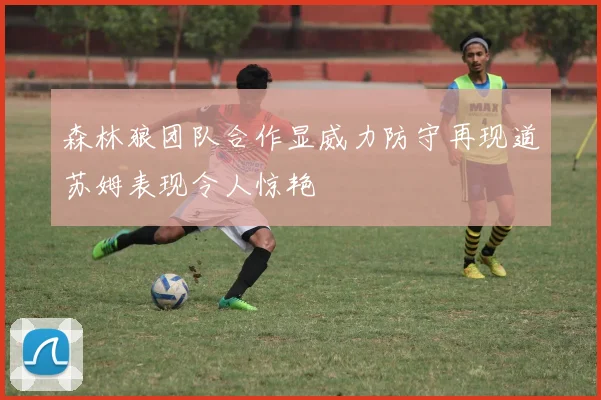 森林狼团队合作显威力防守再现道苏姆表现令人惊艳